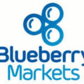Blueberry Markets